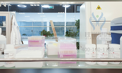 【佳学基因案例